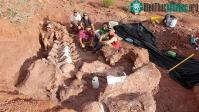 Ảnh Phát hiện ra hóa thạch khủng long titanosaur cổ nhất trên thế giới