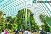 Ảnh Hai loại âm thanh tự nhiên mang lại lợi ích thần kỳ cho sức khỏe