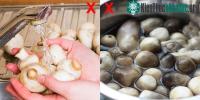 Ảnh Ăn nấm thì có nên rửa không?