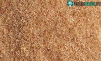 Ảnh Nhựa sinh học làm từ bột gỗ phân hủy trong 3 tháng