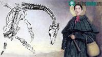 Ảnh Tiểu sử cuộc đời của nhà cổ sinh vật học nữ đầu tiên Mary Anning