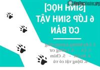 Ảnh Tìm hiểu 6 lớp sinh vật cơ bản ở trên thế giới hiện nay