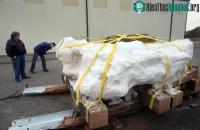 Ảnh Phiến đá khổng lồ nuốt chửng và "niêm phong" 20 quái thú trong suốt 136 triệu năm