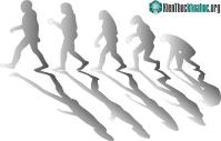 Ảnh Loài người tiến hóa để tiết kiệm nước hơn là các loài linh trưởng