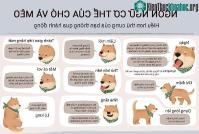 Ảnh Giải mã ngôn ngữ cơ thể của cả chó và mèo