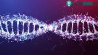 Ảnh Các nhà khoa học tạo ra được một công cụ chỉnh sửa gene mới