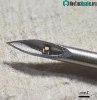 Ảnh Chế tạo chip siêu nhỏ nằm gọn trong kim tiêm, dùng để theo dõi bên trong cơ thể