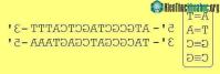 Ảnh Những virus có bộ gene "ngoài hành tinh" sẽ khiến sách giáo khoa phải biên tập lại