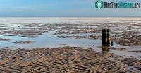 Ảnh Có gì thú vị ở bãi biển Wadden "biến mất" 2 lần 1 ngày ở Hà Lan?