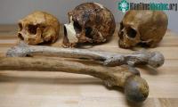 Ảnh Biến đổi khí hậu đã làm thay đổi kích thước cơ thể người
