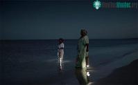 Ảnh WaterLight - Đèn xách tay giống máy phát điện mini có sạc bằng nước muối hoặc nước tiểu