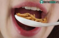 Ảnh Trong tương lai, con người sẽ có siêu thực phẩm từ sâu bột