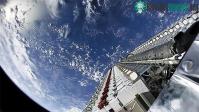 Ảnh Dịch vụ internet Starlink của Elon Musk có thể bị gián đoạn vì một… cái cây