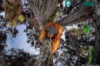 Ảnh Thiên nhiên hùng vĩ, mơ màng và quyến rũ qua những bức ảnh Nature TTL năm 2021