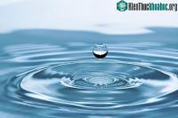 Ảnh Phát hiện ra nguồn nước cổ xưa nhất thế giới