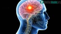 Ảnh Con người có khả năng tái tạo lại các bộ phận cơ thể "chưa được khai thác"?