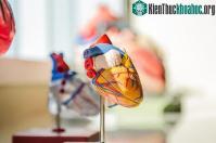 Ảnh Chế tạo thành công trái tim nhân tạo hoàn chỉnh đầu tiên trên thế giới