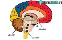 Ảnh Di chuyển đồ vật từ xa - siêu năng lực không tưởng hay khả năng chưa được khai thác?