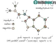 Ảnh Chất thức thần DMT là gì? Nó có thực sự mang đến các lợi ích về tâm linh như nhiều người nghĩ?