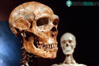 Ảnh Phát hiện mới về bí ẩn khiến "loài người trở nên độc nhất"