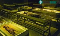 Ảnh Xác ướp 7.000 năm được thêm vào danh sách Di sản Thế giới của UNESCO