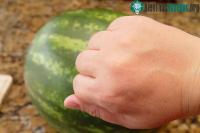 Ảnh Nhà vật lý học đã giải thích hành động "vỗ vỗ" vào quả dưa hấu