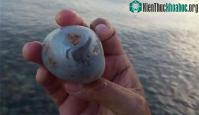 Ảnh Vô tình nhặt viên đá mang về chơi, chàng trai không ngờ đó lại là "kho báu cực khủng"