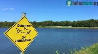 Ảnh Sân golf ngay cạnh nơi sinh sống của đàn cá mập bò hung hãn