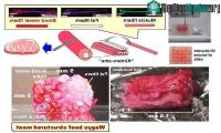 Ảnh Tạo ra thịt bò Wagyu in 3D đầu tiên trên thế giới