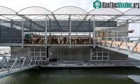 Ảnh Mô hình trang trại nổi - Tương lai của ngành chăn nuôi Hà Lan