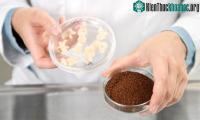 Ảnh Tương lai, chúng ta có thể sản xuất cà phê nhân tạo không cần trồng cây
