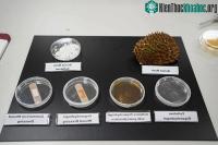 Ảnh Singapore tìm ra cách biến vỏ sầu riêng thành băng y tế