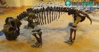 Ảnh Hiện tượng cực đoan đang diễn ra ở trên Trái đất giống những sự kiện tuyệt chủng đã từng xảy ra trong quá khứ