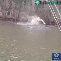 Ảnh Video: Cá mập liều lĩnh đi vào lãnh địa cá sấu kiếm ăn và kết cục "một đi không trở lại"