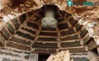 Ảnh Chuyên gia mạo hiểm khám phá ngôi mộ cổ nghìn năm được 1 "quái thú" canh giữ, không ai dám vào