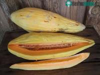 Ảnh Dưa chuối - một loại quả có vị dưa lưới, thơm mùi chuối
