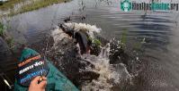 Ảnh Video: Thả câu giữa vùng nước vắng, người đàn ông bất ngờ câu được con cá "siêu khủng"!