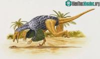Ảnh Không phải T-Rex với "cú đớp tử thần" mà đây mới là kẻ săn mồi vô địch thế giới tiền sử