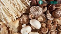 Ảnh Ăn nấm làm giảm nguy cơ mắc bệnh trầm cảm ở người?
