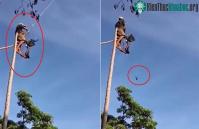 Ảnh Cư dân mạng kinh ngạc khi xem video người đàn ông trổ tài "câu chim" trên trời
