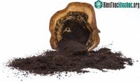 Ảnh Indonesia phát triển phương pháp biến bã cà phê thành vật liệu tạo pin xe điện