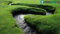 Ảnh Con sông hẹp nhất thế giới dài 17km nhưng chỉ rộng vài centimet