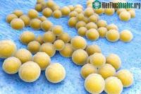 Ảnh Hàng chục loại kháng sinh tự nhiên mới đượcphát hiện trong cơ thể con người