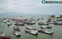 Ảnh Thứ quý hơn cả kim cương ở Biển Đông đang dần cạn kiệt, Trung Quốc chiếm tới 85%