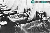 Ảnh Bệnh viêm não hôn mê - căn bệnh bí ẩn nhất trong lịch sử y học thế giới