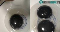 Ảnh Ngỗng đẻ trứng lòng đen cực hiếm gây xôn xao trên mạng xã hội