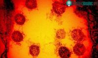 Ảnh Australia nghiên cứu phát triển vaccine mRNA đầu tiên