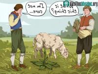 Ảnh Những sự thật lịch sử kỳ lạ đến mức khó tin