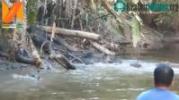 Ảnh Video: Một đoàn sinh vật "lạ" vượt sông khiến đoàn thuyền tham quan bất chợt khựng lại giữa rừng Amazon