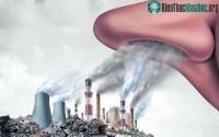 Ảnh Thế nào là ô nhiễm không khí?